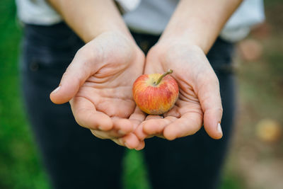 Close-up of hand holding fruit