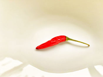 Red peperoni on a white plate