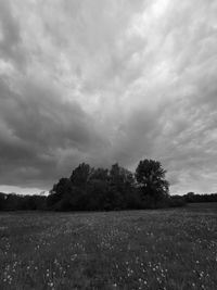 Scenic view of field against sky