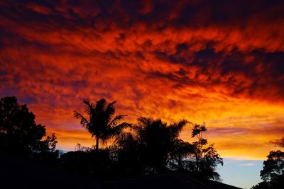 Low angle view of silhouette trees against orange sky