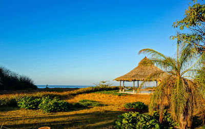 Scenic view of landscape against clear blue sky