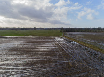 Scenic view of agricultural field against sky