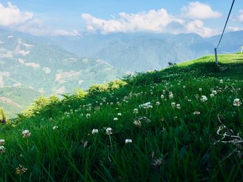 Scenic view of grassy field against cloudy sky