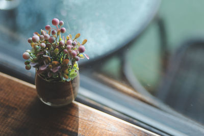 Close-up of potted plant on glass table