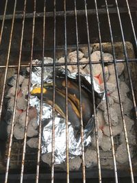 Close-up of bird in lake