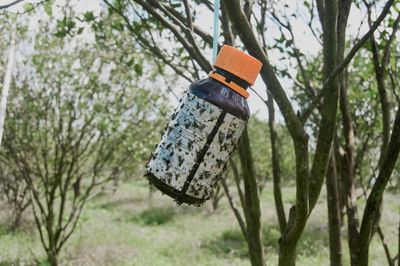 Close-up of water bottle