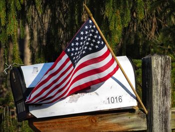 Flags on wooden post in forest