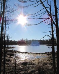 Sun shining over calm lake