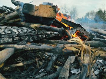 Stack of logs