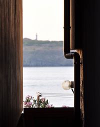 Close-up of bird perching on window sill