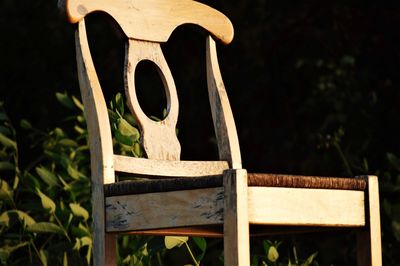 Close-up of chair on plant