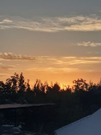 Silhouette trees against sky during sunset