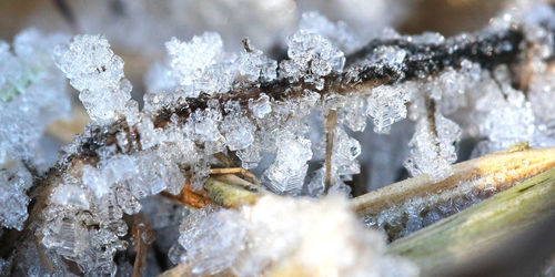 Close-up of frozen water