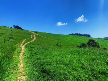 Scenic view of landscape against blue sky