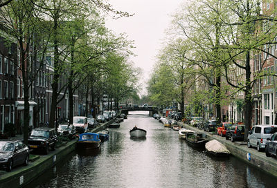 Boats moored in canal amidst trees in city