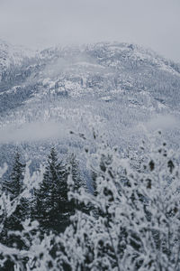 Snow covered mountain against sky