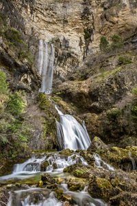 Scenic view of waterfall in forest