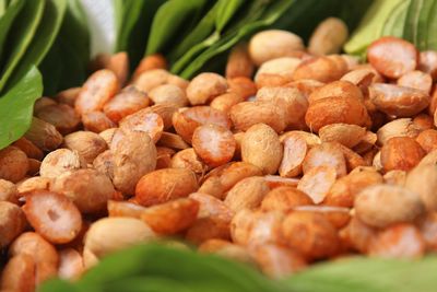 Close-up of chopped areca nuts