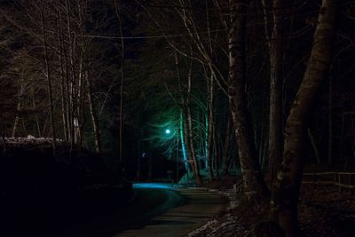 Illuminated road amidst trees in forest at night