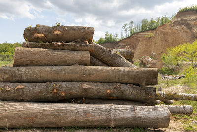 Stacks of cut wood.deforestation forest and illegal logging.destruction the environmetal and warming