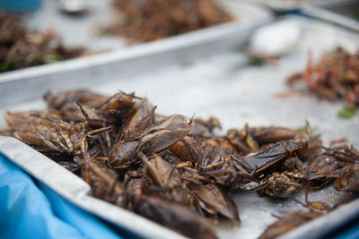Deep fried locust