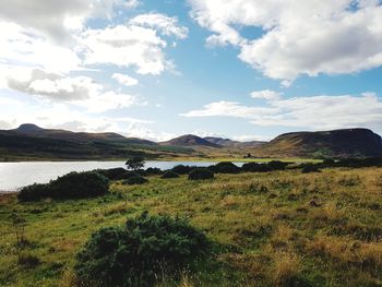 Scenic view of field against sky