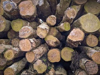 Full frame shot of logs