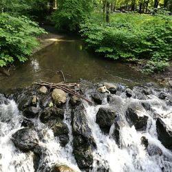 High angle view of stream flowing over river in forest