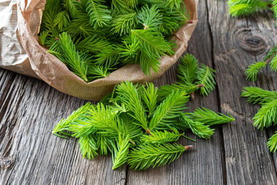 High angle view of fresh green leaf on table