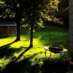 Empty bench in park