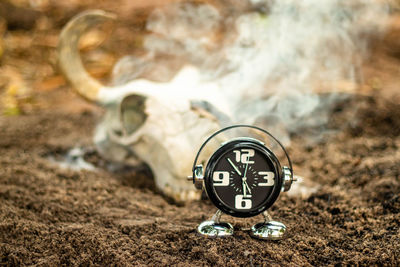 Close-up of information sign on field
