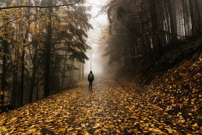 Rear view of woman walking on road