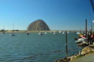 Sailboats in sea against clear blue sky