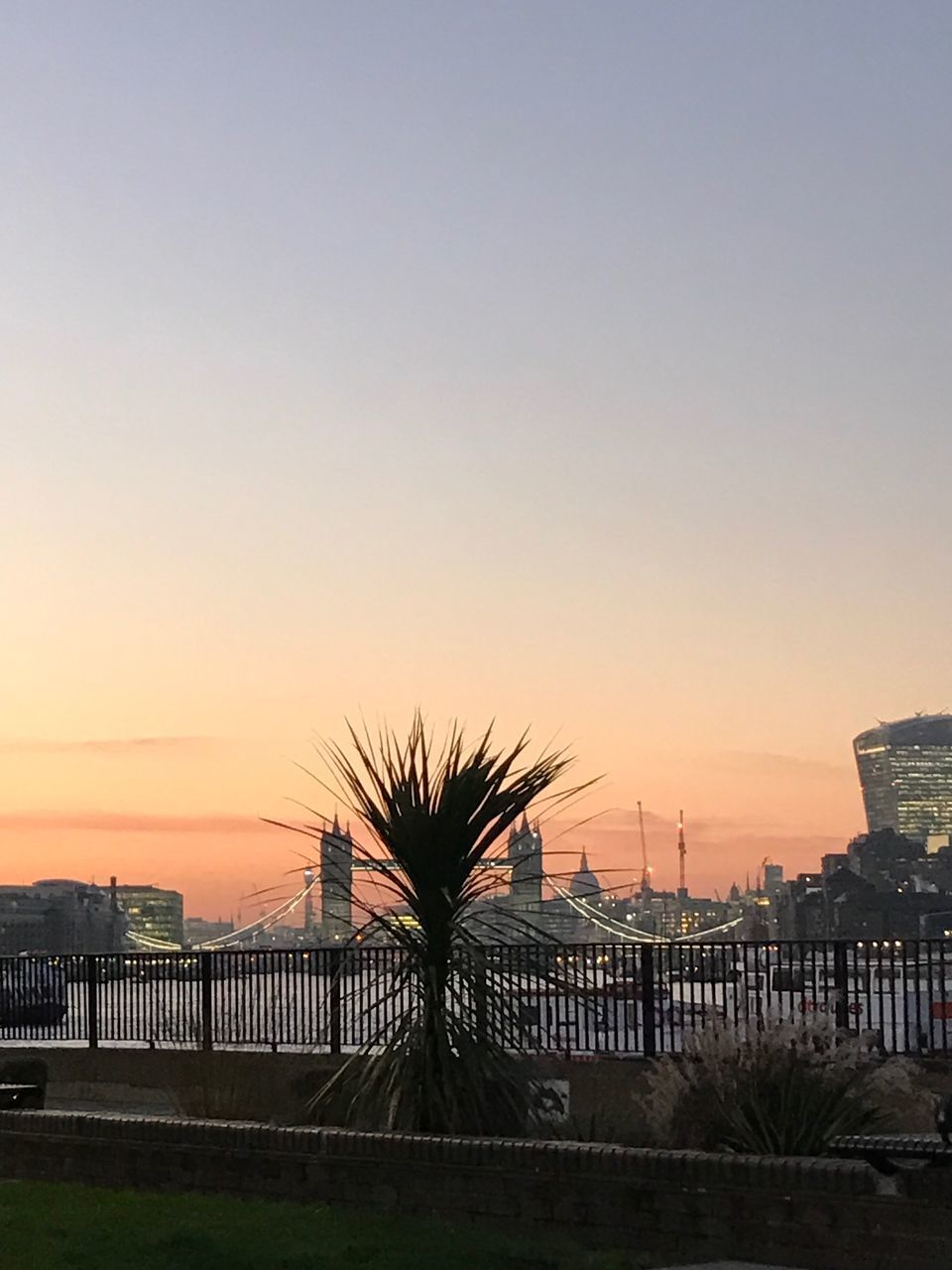 PALM TREES BY SEA AGAINST SKY AT SUNSET