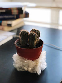 High angle view of ice cream on table