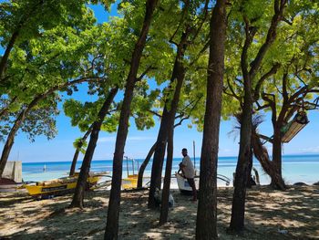 Man by tree on beach