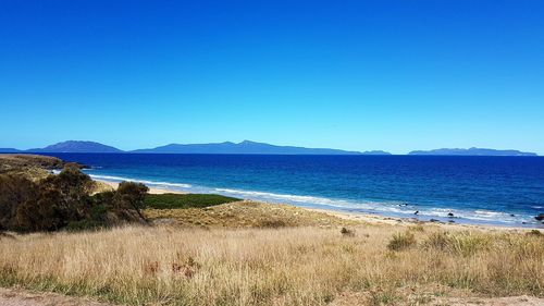Scenic view of sea against clear blue sky