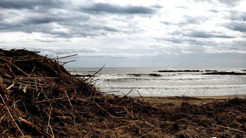 Scenic view of beach against sky