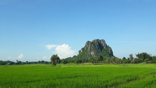 Scenic view of land against sky