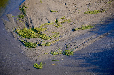 Aerial view of mountain road