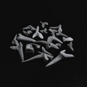 High angle view of objects on table against black background