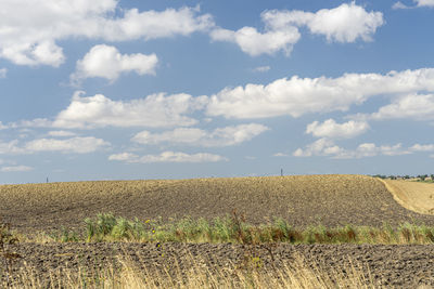 Scenic view of agricultural field against sky