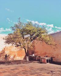 Tree surrounded by wall against cloudy sky