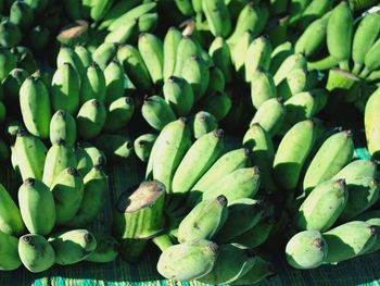 Full frame shot of fresh green banana plants