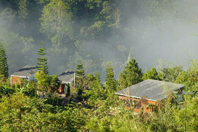 Panoramic view of trees and buildings on field