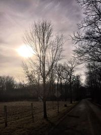 Bare trees on field at sunset