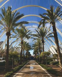 Rear view of palm trees against sky