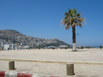 Palm trees on beach against blue sky