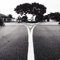 Road along trees