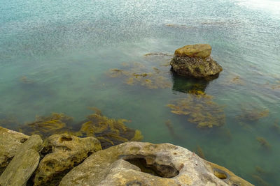 High angle view of rock in lake
